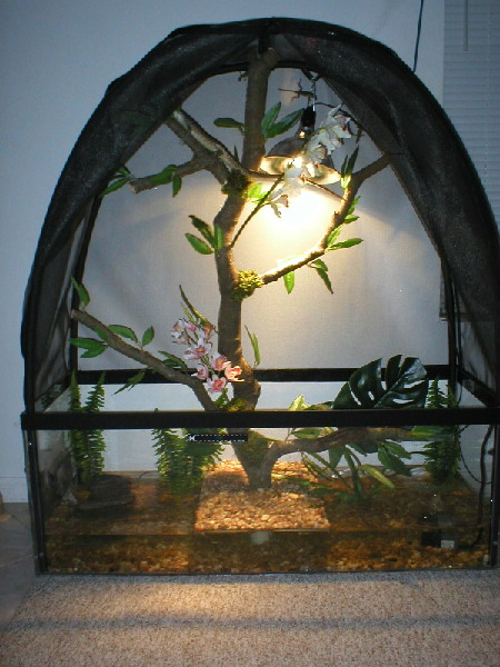 Pele's Vivarium