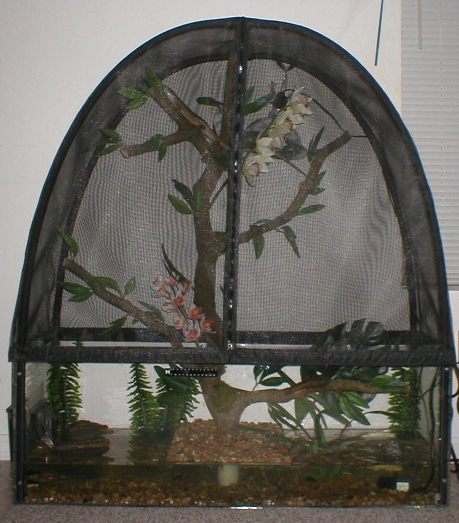 Pele's Vivarium 2