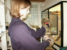 me and granite male