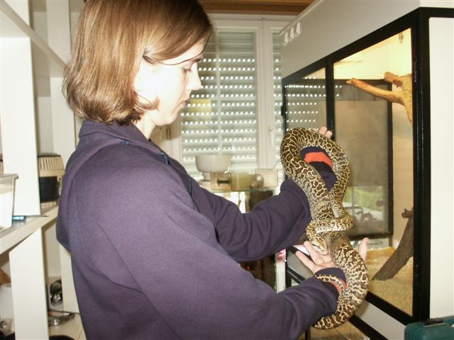 me and granite male