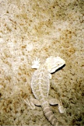 another baby pic