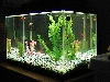 10 gal. community