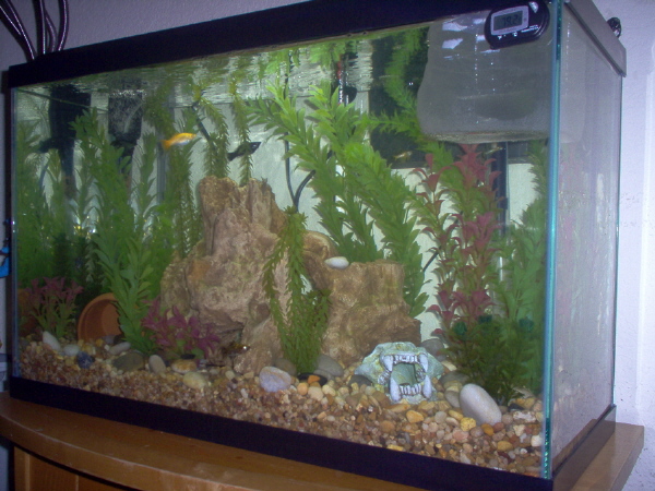 29gallons