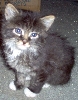 My new baby girl