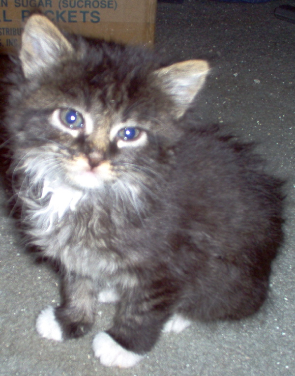 My new baby girl