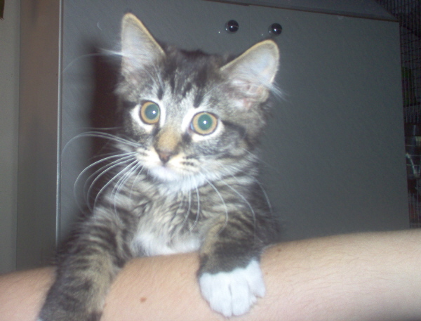 Daisy getting big.