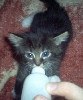 Daisy drinking bottle