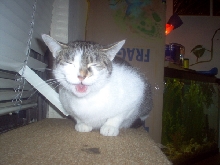 I swear mom, these blinds were like this.