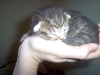 Princess at 2 days old
