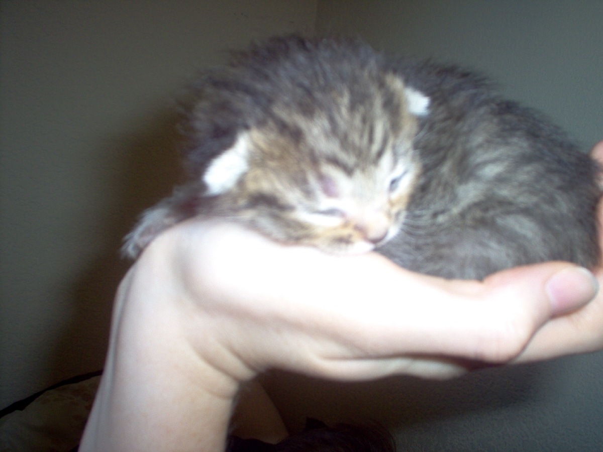 Princess at 2 days old