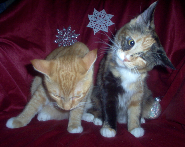 Oliver and Lilly Christmas