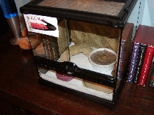 Lola Setup2