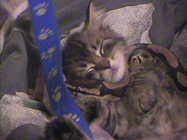 snakie and friend