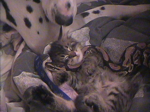 snakie and friend #2