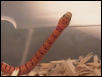 orange thayeri