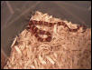 MILKSNAKE PHASE THAYERI