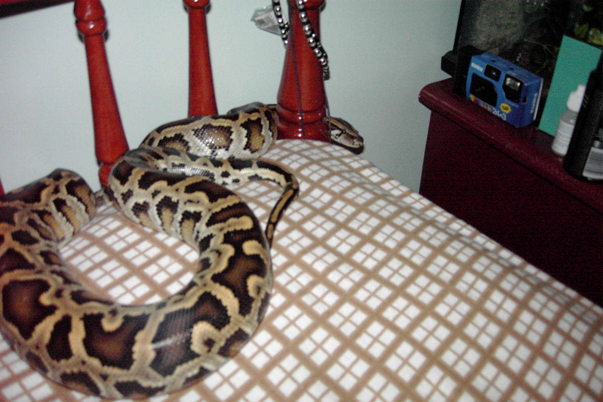 Lilith Exploring.