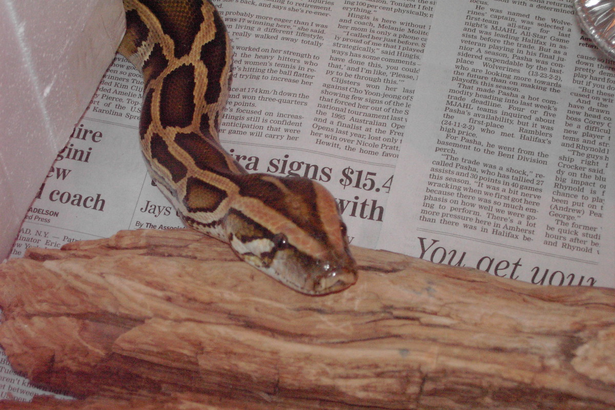 Hanging out.
