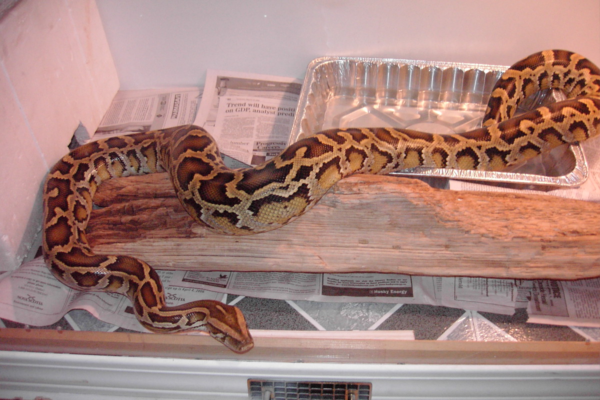 Lilith