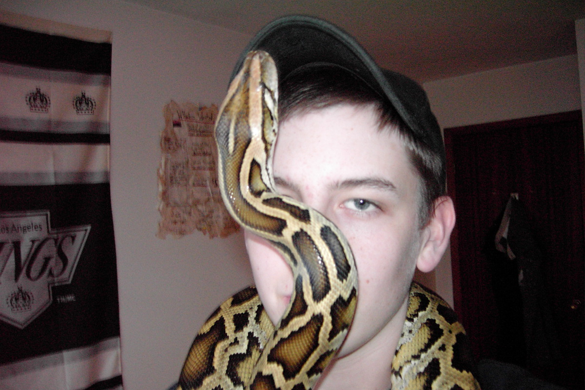 Camera hogg