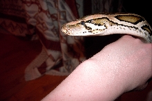 Lilith