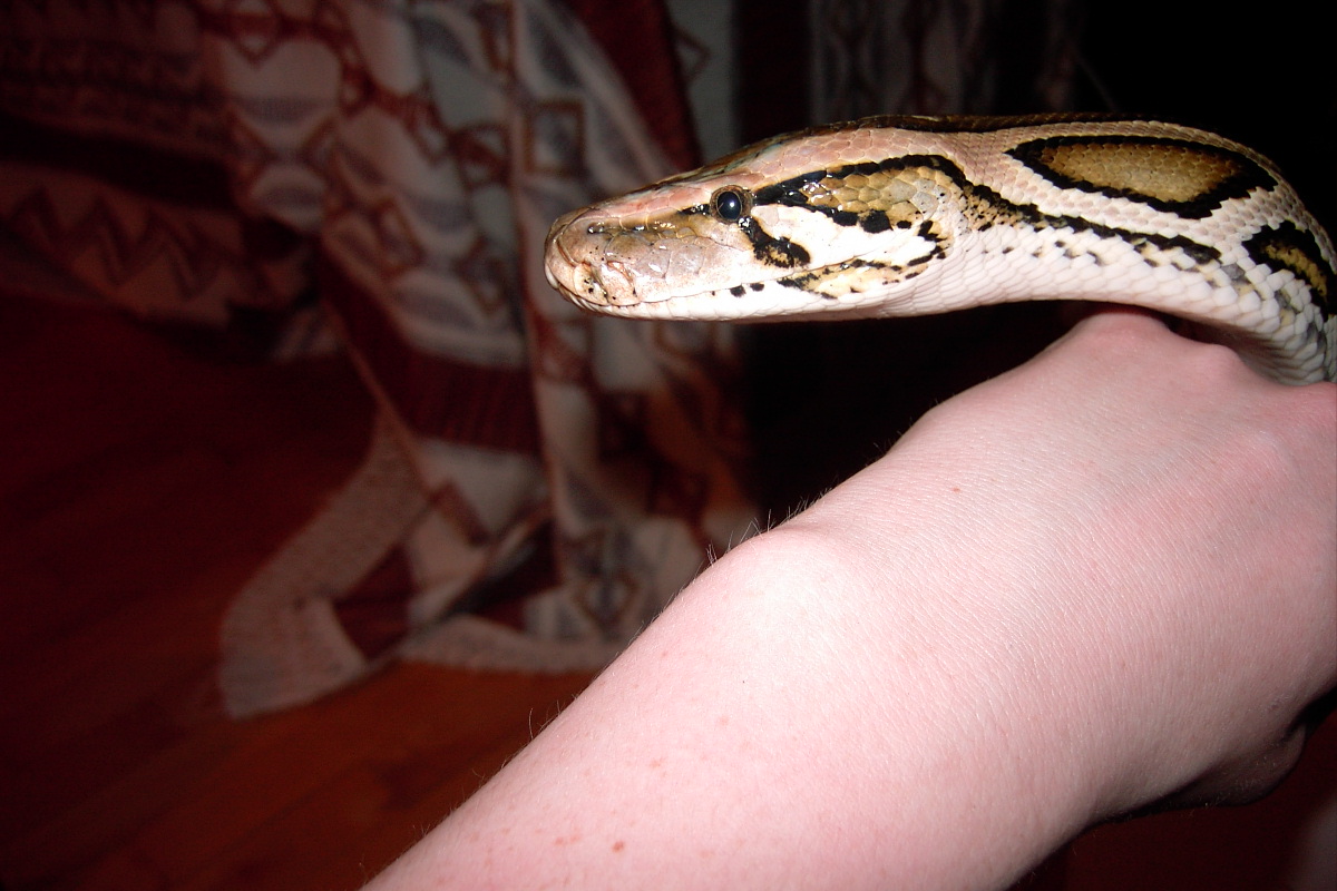 Lilith