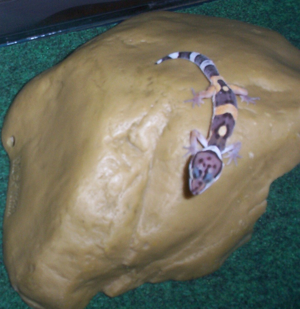 Elvis on his rock hide