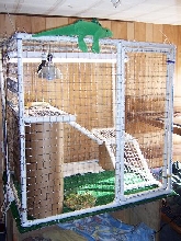 Temporary Iguana Cage