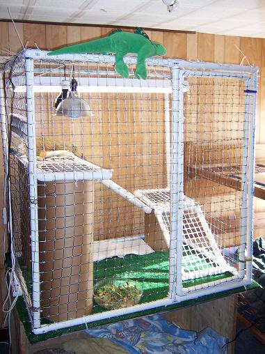 Temporary Iguana Cage