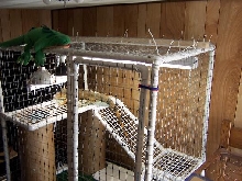 upper veiw of cage