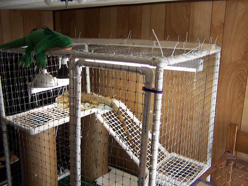upper veiw of cage
