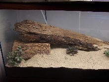 my uros cage