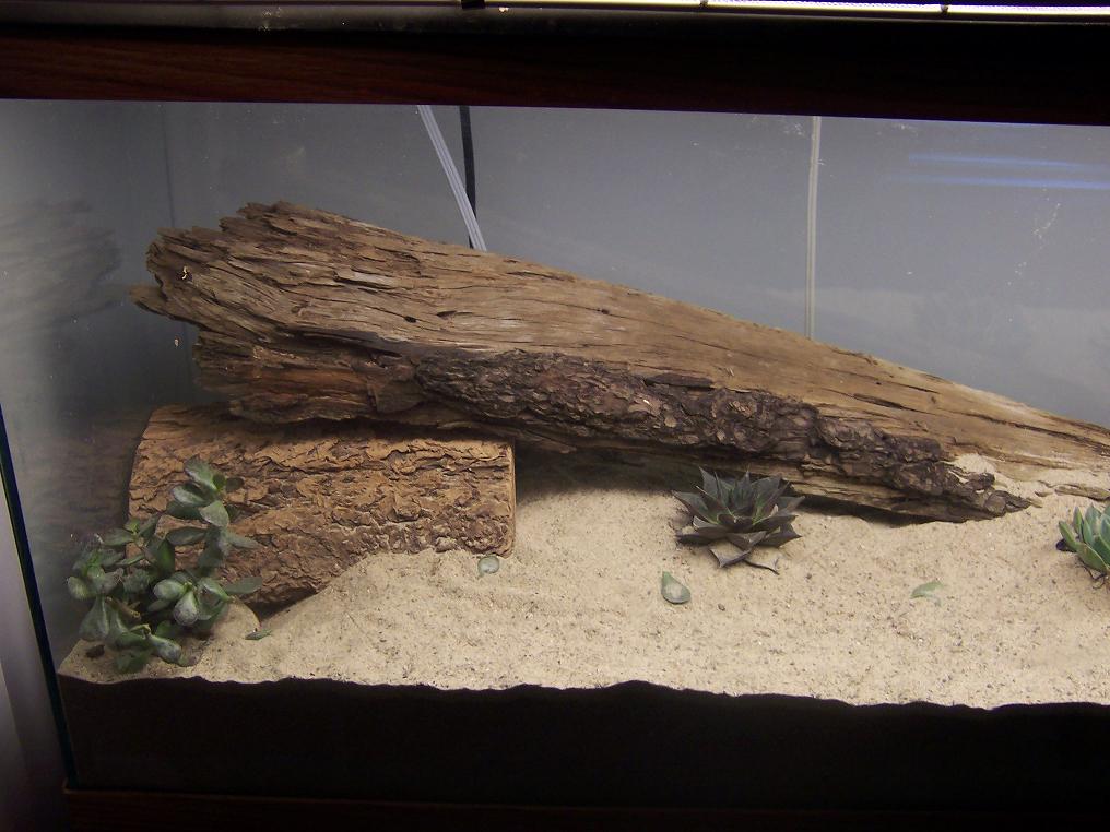 my uros cage