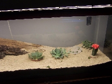 my uros cage