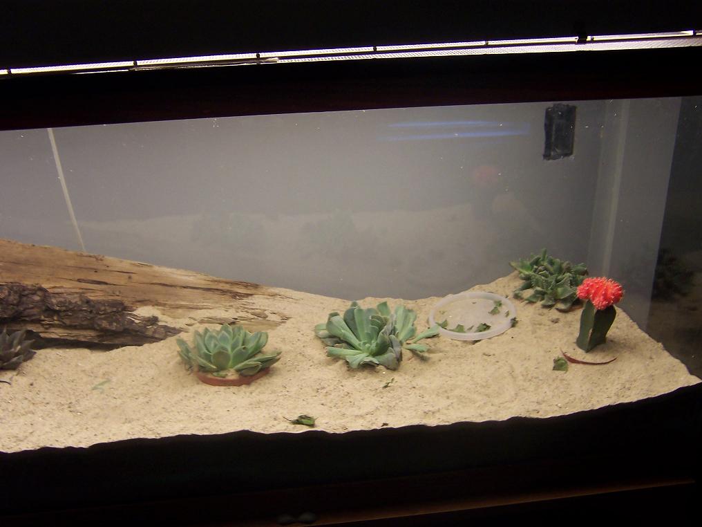 my uros cage