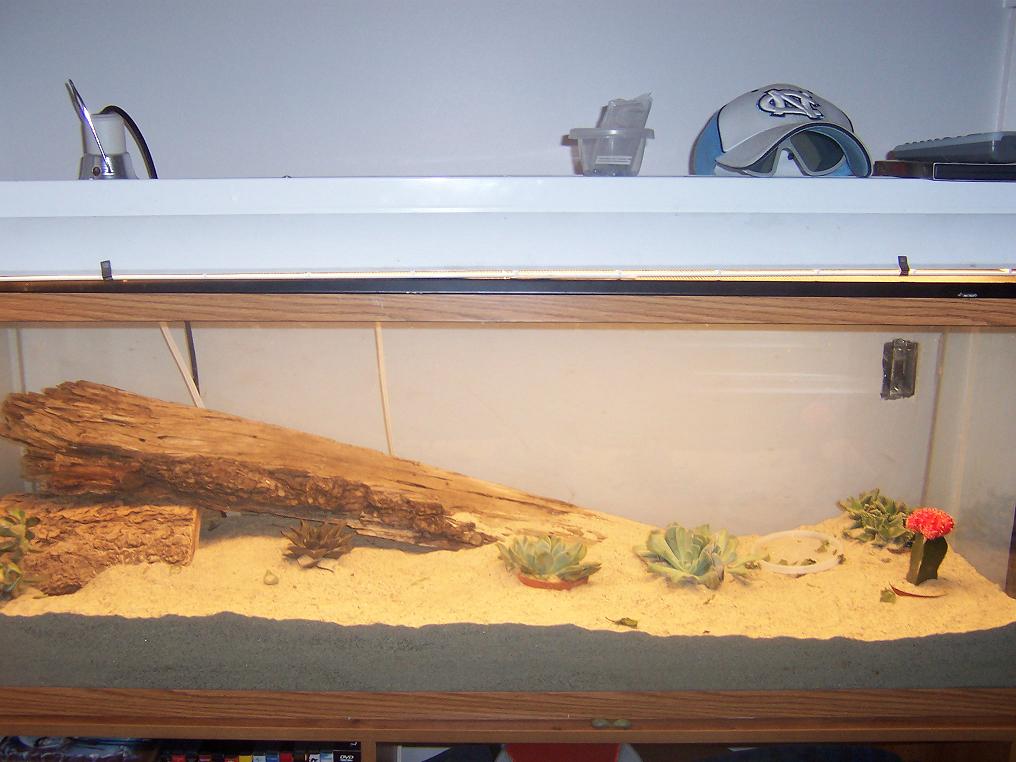 my uros cage