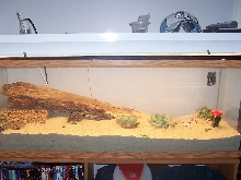 my uros cage