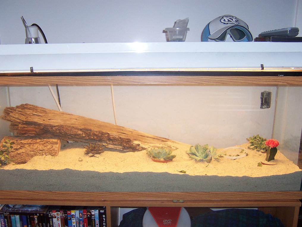 my uros cage