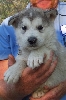 Rauli at 6 weeks