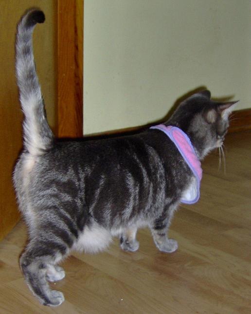 Stink in a bib