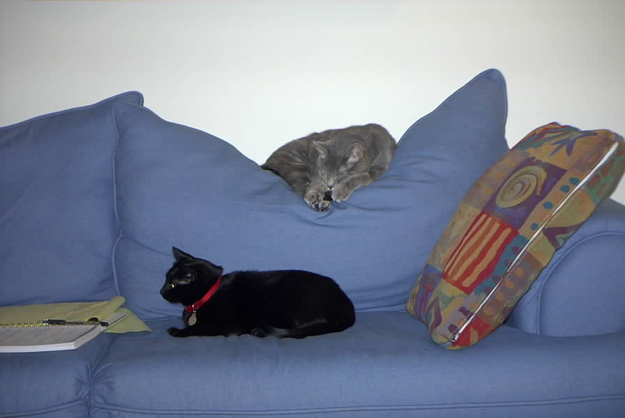 Annie & Liz on the couch