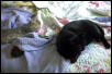 Girls asleep