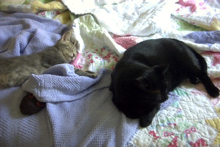 Girls asleep