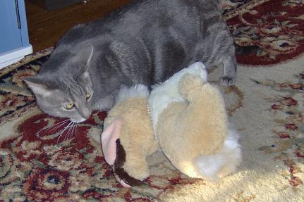 Stink takes ou thte Easter bunny