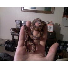 My New BRB
