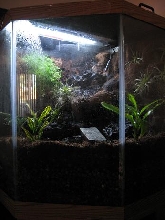 New corner enclosure...