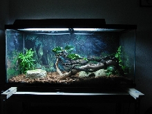 Xaviers new home