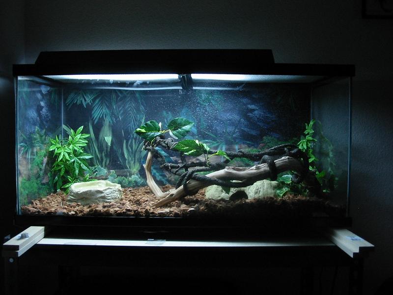 Xaviers new home