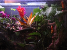 close up of tank