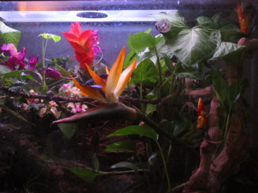 close up of tank